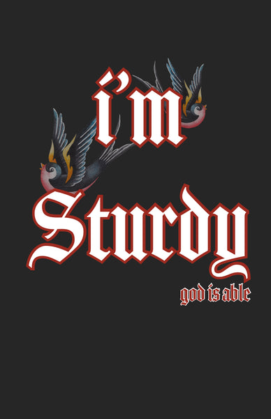 I’m Sturdy-God Is Able-Premium T Shirt-Unisex Affirmation