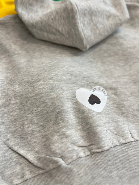 Crop Hoodie (Limited Release)