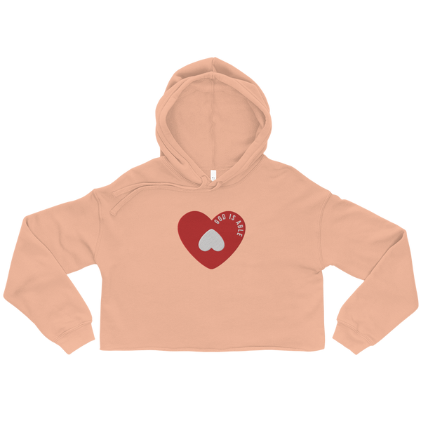 Crop Hoodie ( Large Embroidered)